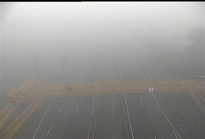 Neblina reduz a visibilidade nas rodovias. Câmeras da Viapar mostram neblina em quase todas as rodovias da região